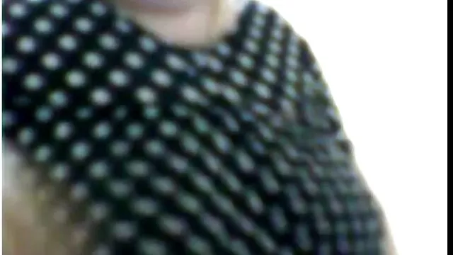 چینی